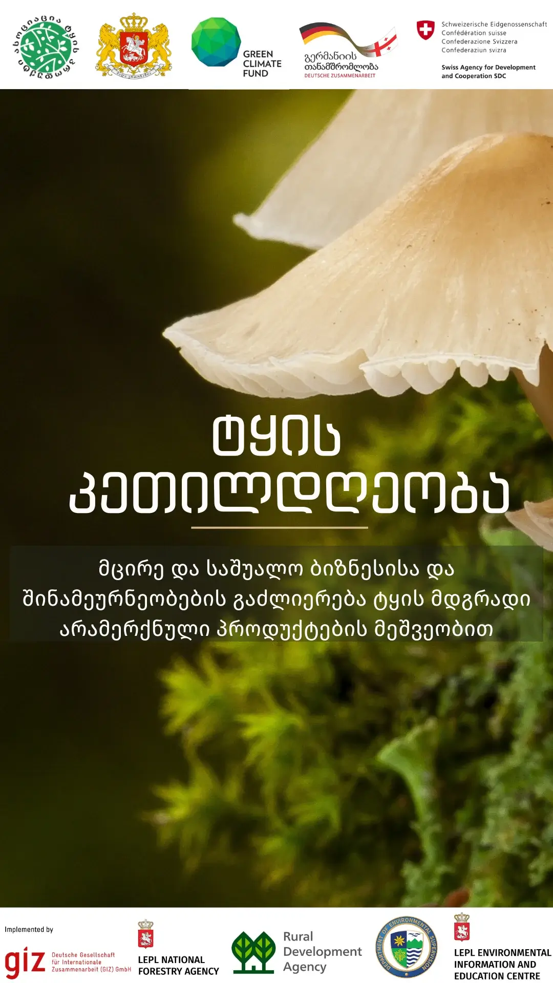 Forest Prosperity